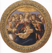 Sandro Botticelli Madonna and Child with six Angels or Madonna of the Pomegranate (mk36) oil painting picture wholesale
